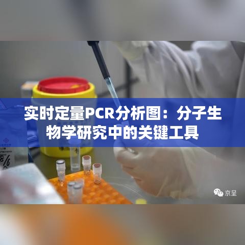 實(shí)時(shí)定量PCR分析圖：分子生物學(xué)研究中的關(guān)鍵工具