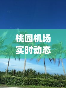桃園機場實時動態(tài)查詢：您的出行助手