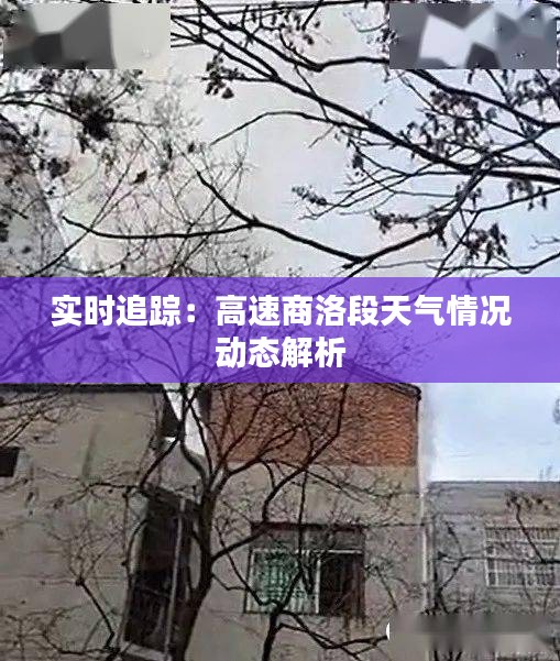實(shí)時追蹤：高速商洛段天氣情況動態(tài)解析