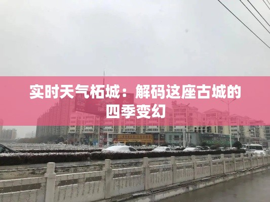 實時天氣柘城：解碼這座古城的四季變幻