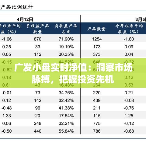 廣發(fā)小盤實(shí)時(shí)凈值：洞察市場(chǎng)脈搏，把握投資先機(jī)
