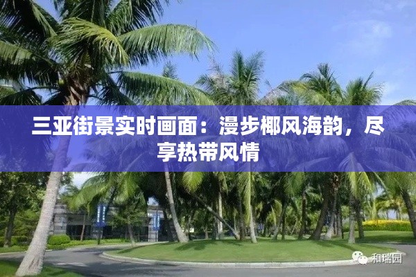 三亞街景實時畫面：漫步椰風(fēng)海韻，盡享熱帶風(fēng)情