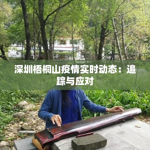 深圳梧桐山疫情實時動態(tài)：追蹤與應對