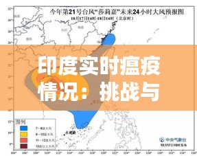 印度實(shí)時(shí)瘟疫情況：挑戰(zhàn)與應(yīng)對