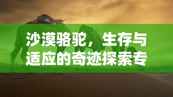 沙漠駱駝，生存與適應(yīng)的奇跡探索專題