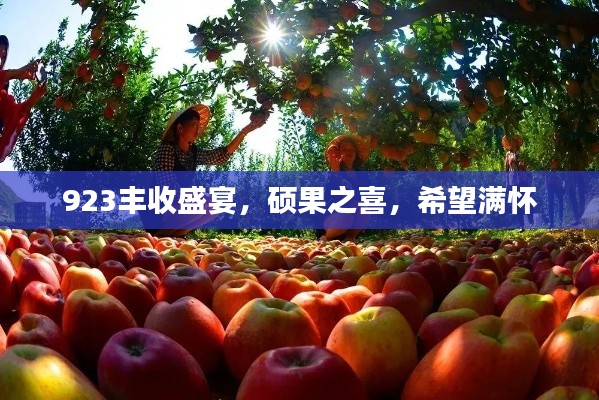 923豐收盛宴，碩果之喜，希望滿懷