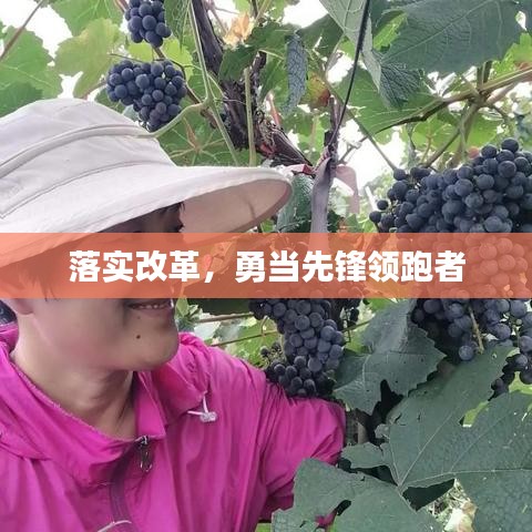 落實改革，勇當(dāng)先鋒領(lǐng)跑者