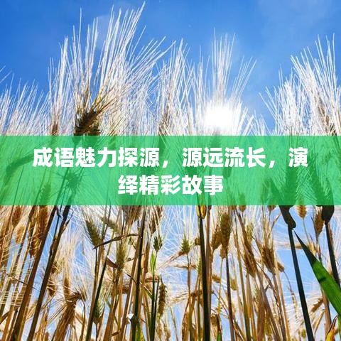 成語魅力探源，源遠流長，演繹精彩故事