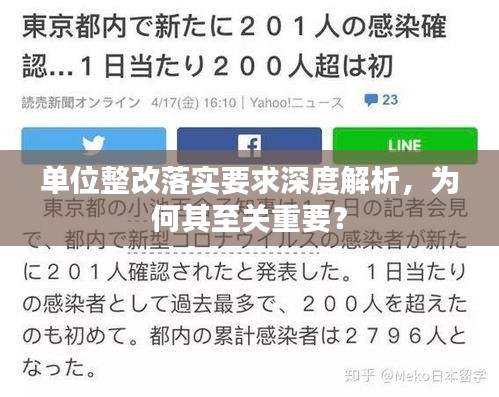 單位整改落實要求深度解析，為何其至關重要？