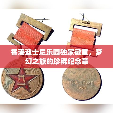 香港迪士尼樂(lè)園獨(dú)家徽章，夢(mèng)幻之旅的珍稀紀(jì)念章