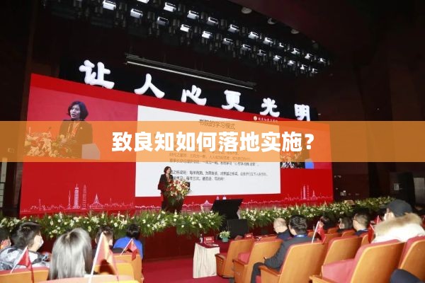 致良知如何落地實施？