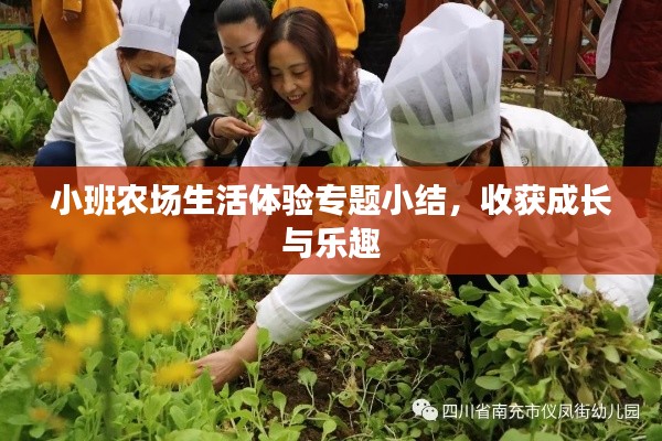 小班農(nóng)場(chǎng)生活體驗(yàn)專題小結(jié)，收獲成長(zhǎng)與樂趣
