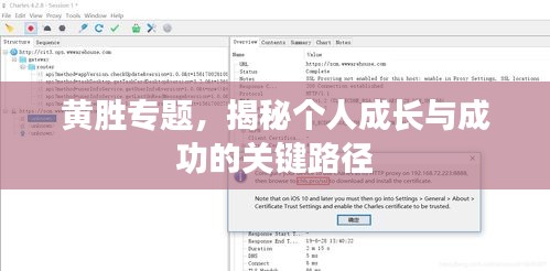 黃勝專題，揭秘個(gè)人成長與成功的關(guān)鍵路徑