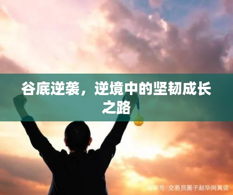 谷底逆襲，逆境中的堅(jiān)韌成長之路