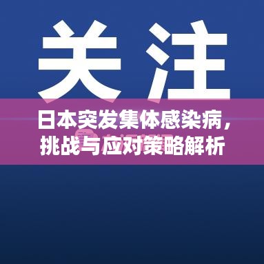 日本突發(fā)集體感染病，挑戰(zhàn)與應(yīng)對(duì)策略解析