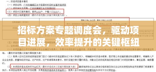 招標(biāo)方案專題調(diào)度會，驅(qū)動項目進(jìn)展，效率提升的關(guān)鍵樞紐會議