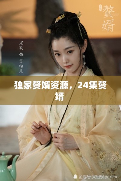 獨(dú)家贅婿資源，24集贅婿 