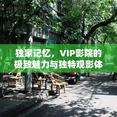 獨家記憶，VIP影院的極致魅力與獨特觀影體驗