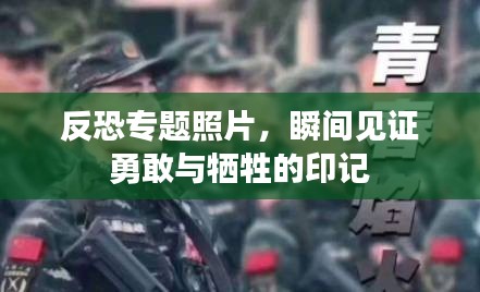 反恐專題照片，瞬間見證勇敢與犧牲的印記