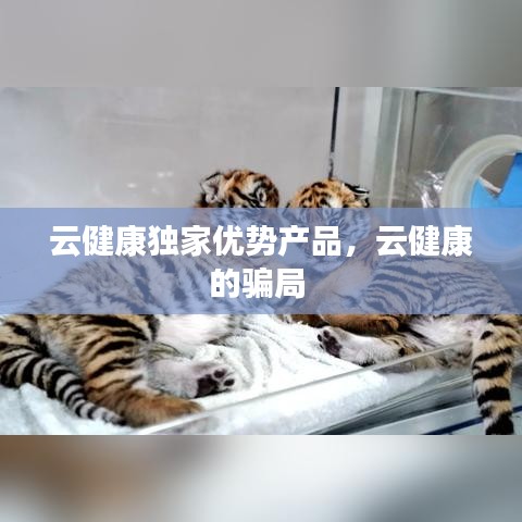 云健康獨(dú)家優(yōu)勢(shì)產(chǎn)品，云健康的騙局 