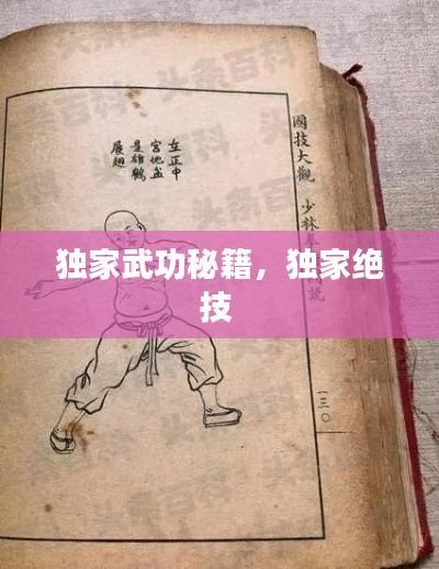 獨(dú)家武功秘籍，獨(dú)家絕技 