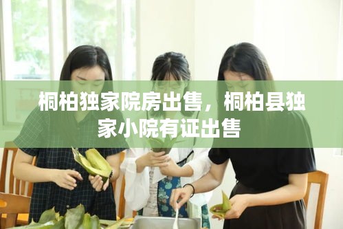 桐柏獨家院房出售，桐柏縣獨家小院有證出售 