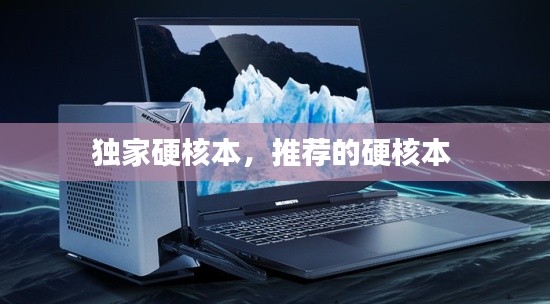 獨(dú)家硬核本，推薦的硬核本 