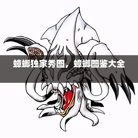 蟑螂獨(dú)家秀圖，蟑螂圖鑒大全 