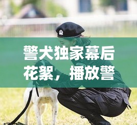 警犬獨家幕后花絮，播放警犬連續(xù)劇 