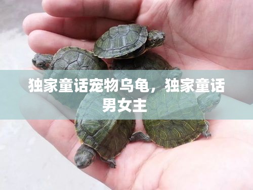 獨(dú)家童話寵物烏龜，獨(dú)家童話男女主 