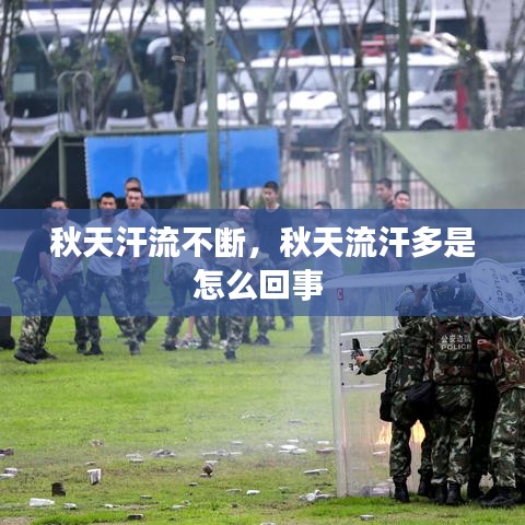 秋天汗流不斷，秋天流汗多是怎么回事 