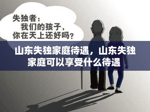 山東失獨家庭待遇，山東失獨家庭可以享受什么待遇 