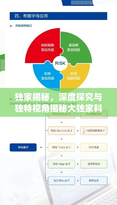 獨(dú)家揭秘，深度探究與獨(dú)特視角揭秘大獨(dú)家科目