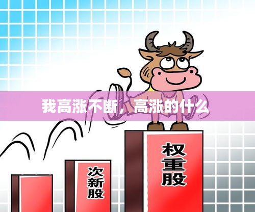 我高漲不斷，高漲的什么 