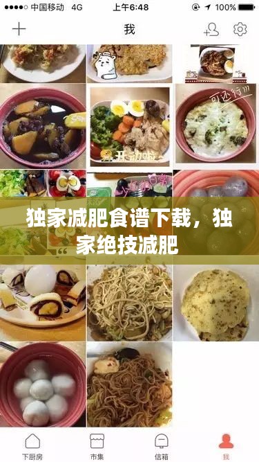 獨(dú)家減肥食譜下載，獨(dú)家絕技減肥 