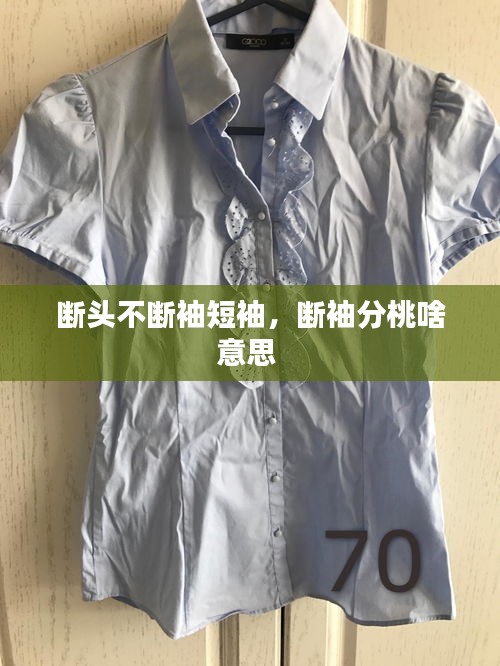 斷頭不斷袖短袖，斷袖分桃啥意思 