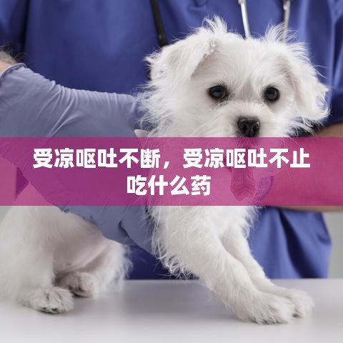 受涼嘔吐不斷，受涼嘔吐不止吃什么藥 