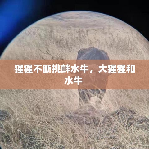學貴有疑 第2頁