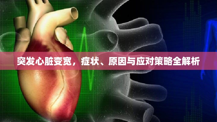 突發(fā)心臟變寬，癥狀、原因與應(yīng)對策略全解析