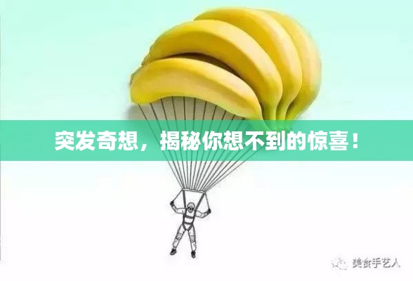 突發(fā)奇想，揭秘你想不到的驚喜！