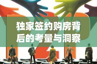 獨(dú)家簽約購房背后的考量與洞察，揭秘購房決策的智慧抉擇