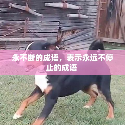永不斷的成語，表示永遠(yuǎn)不停止的成語 