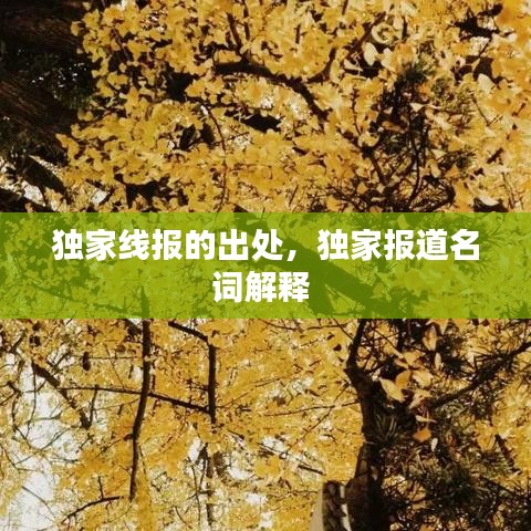 獨(dú)家線報(bào)的出處，獨(dú)家報(bào)道名詞解釋 