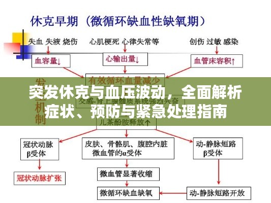 突發(fā)休克與血壓波動(dòng)，全面解析癥狀、預(yù)防與緊急處理指南