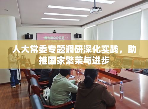 人大常委專題調(diào)研深化實踐，助推國家繁榮與進(jìn)步