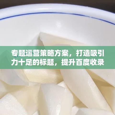 專題運(yùn)營(yíng)策略方案，打造吸引力十足的標(biāo)題，提升百度收錄與點(diǎn)擊率！