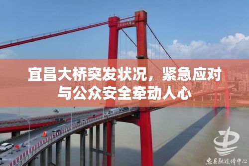 宜昌大橋突發(fā)狀況，緊急應對與公眾安全牽動人心