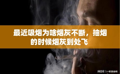 環(huán)肥燕瘦 第2頁