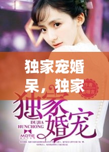 獨(dú)家寵婚呆，獨(dú)家寵婚txt 