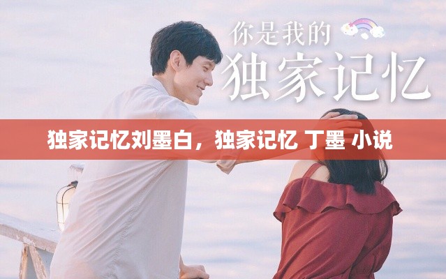 獨家記憶劉墨白，獨家記憶 丁墨 小說 
